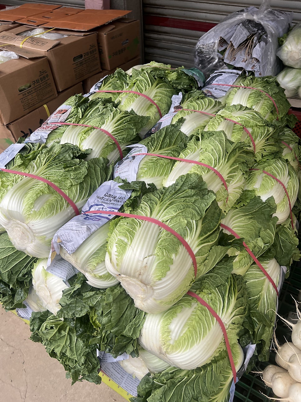 진주식당 사진 2