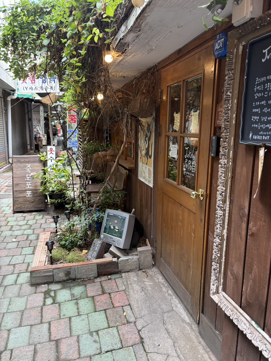 죽도포포 사진 3