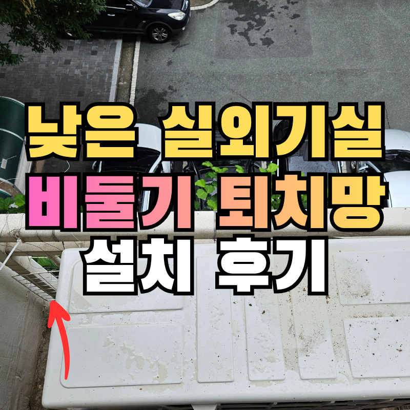 경산 비둘기 퇴치망 설치 업체 후기, 옥곡동 셀프 철망 실패 후 비둘기똥 청소