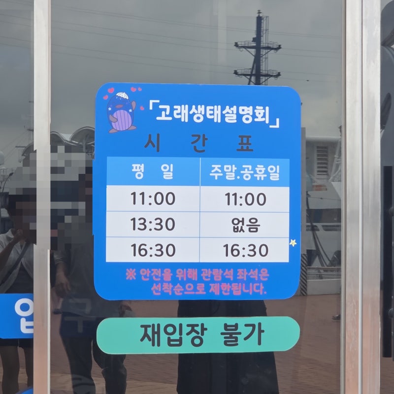 울산 장생포 생태체험관, 고래박물관,고래문화마을 은 한세트