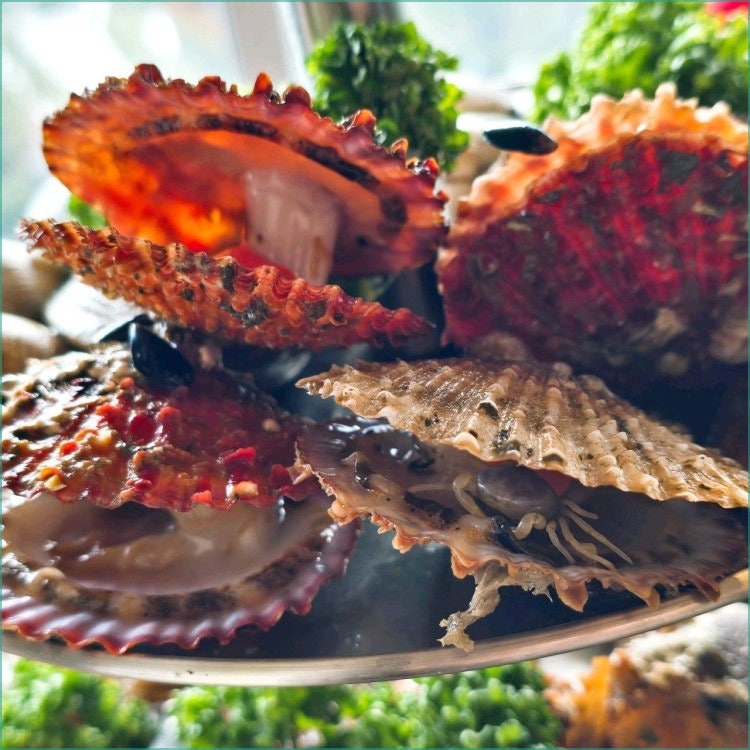 바다내음 사진 6