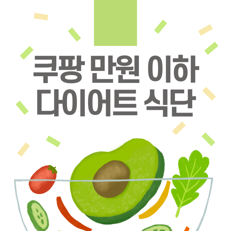 쿠팡 다이어트 식단 만원 이하로 해결! 내돈내산 추천템 3가지