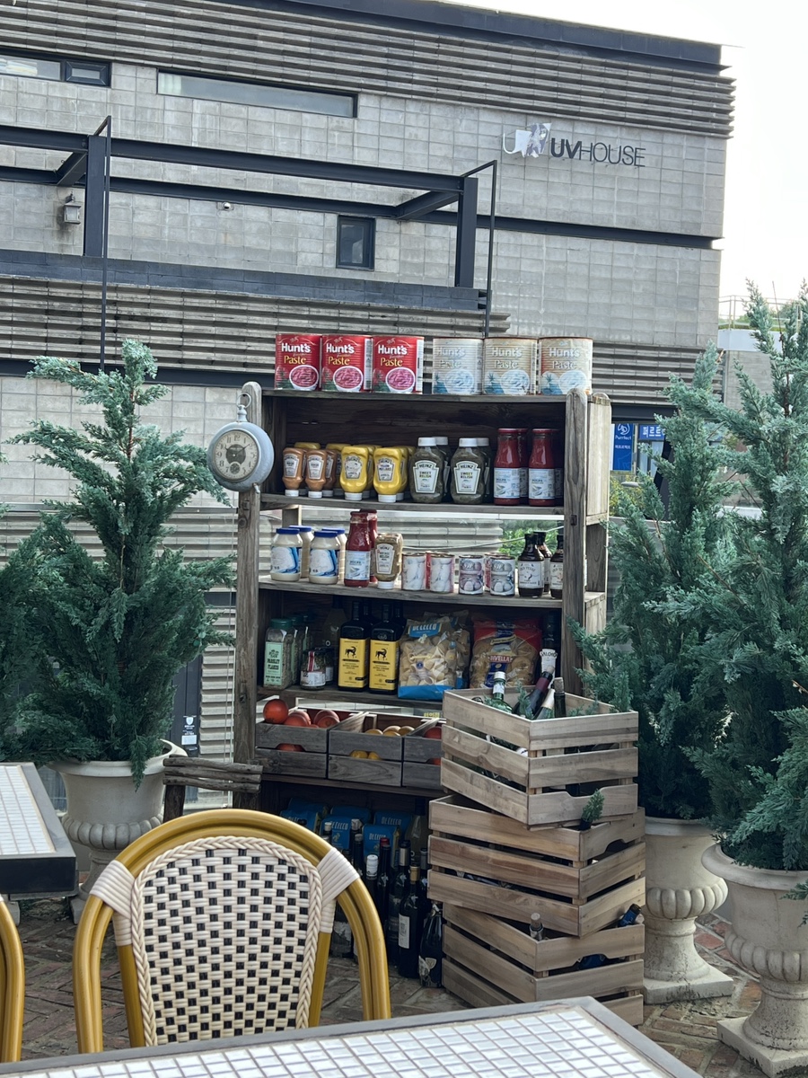 이그조틱 사진 6