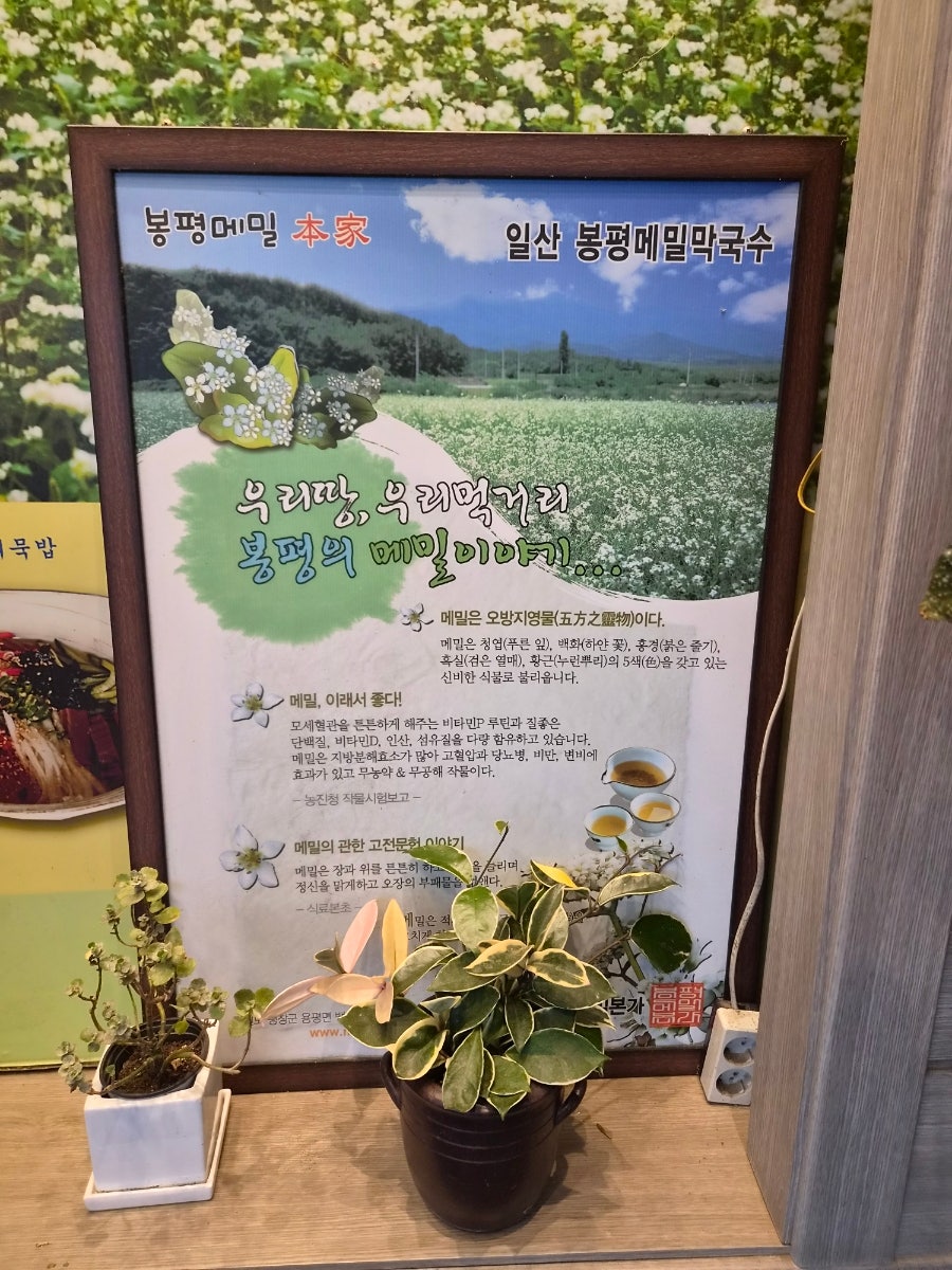 대관령가는길 사진 3