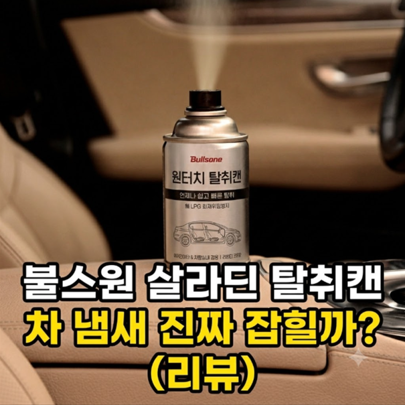 자동차 냄새제거 방법 불스원 살라딘 탈취캔 직접 써보고 느낀 솔직 후기