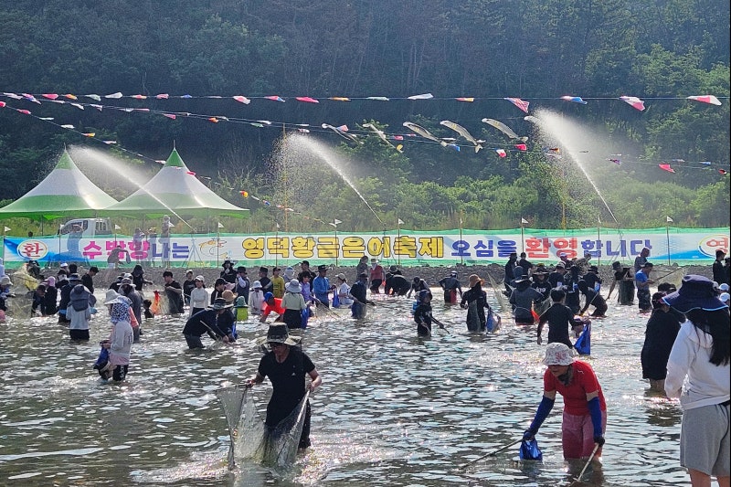 경북 영덕 황금은어축제 다녀온 생생 후기! (ft. 2026년 행사 날짜 및 일정, 초대가수 라인업)