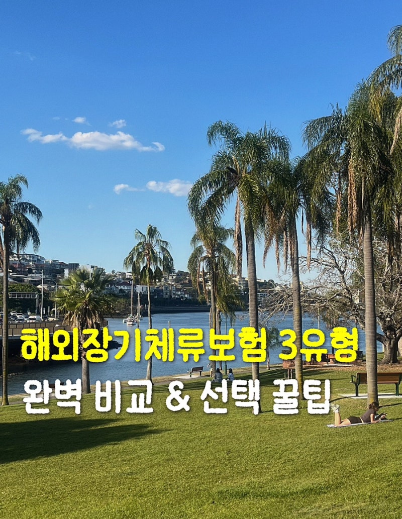 [정착기 ep.08] 호주 워홀 보험 무조건 비싼 거 들어야 할까? | 3대 유형 완벽 비교 & 직종 맞게 ....