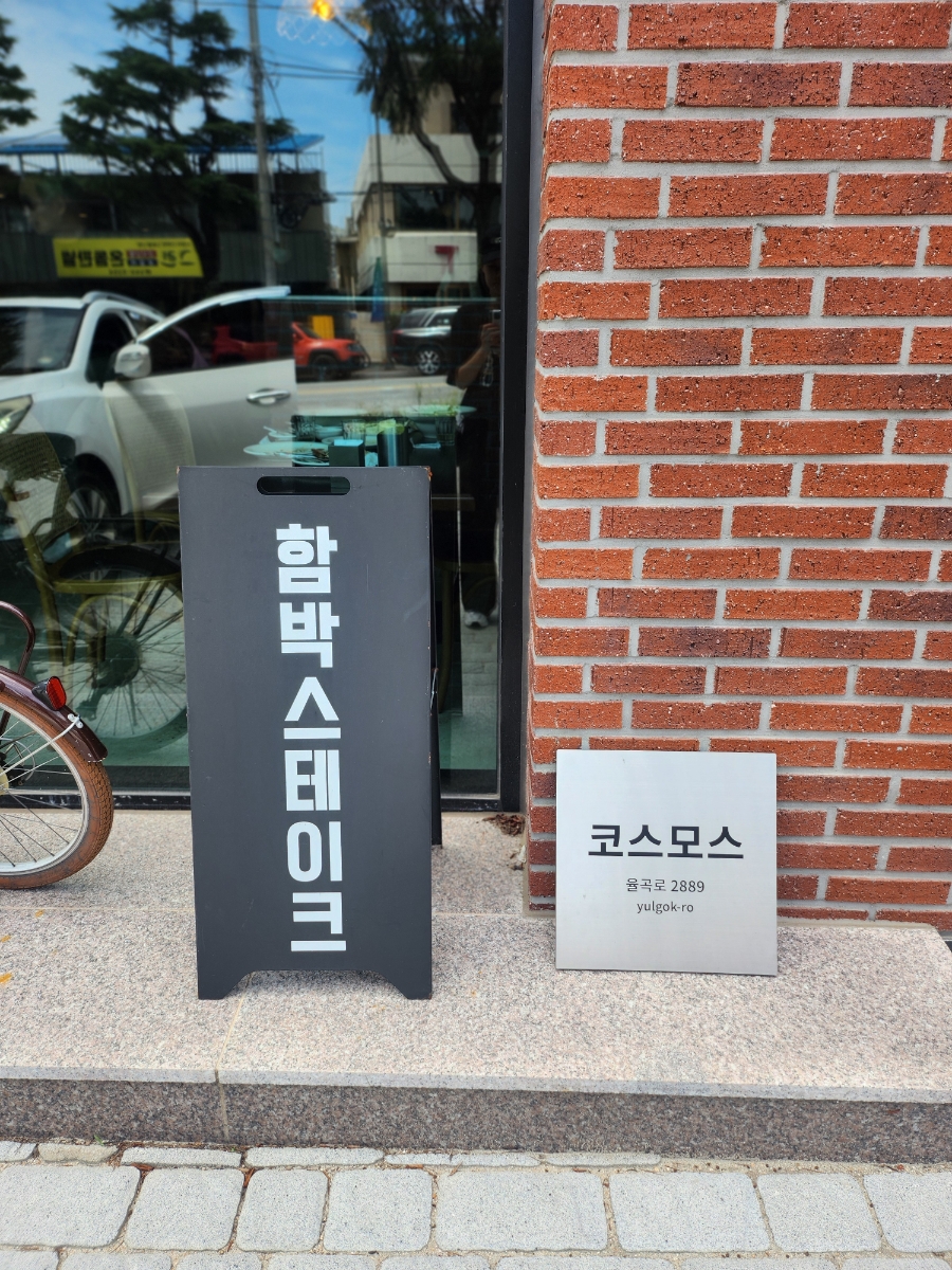 코스모스 사진 5