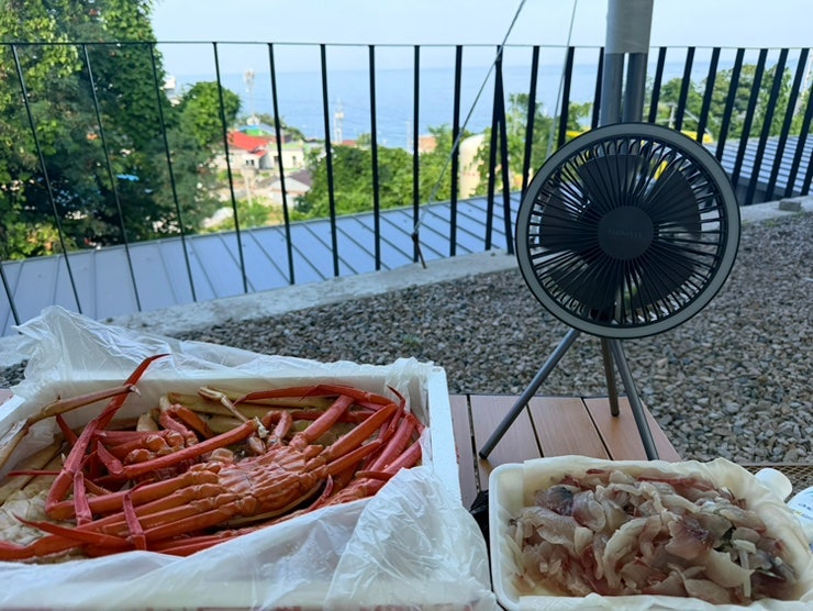 강구항 영덕대게 1kg 가격 시가(26.07.25 기준)