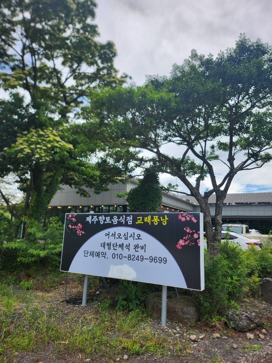 교래퐁낭 사진 6