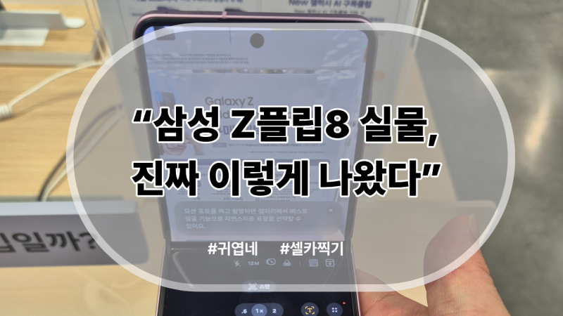 갤럭시Z플립8 실물 후기 | 매장에서 직접 만져보고 온 솔직 사용기 (feat. 플립7 비교, 스펙 정....