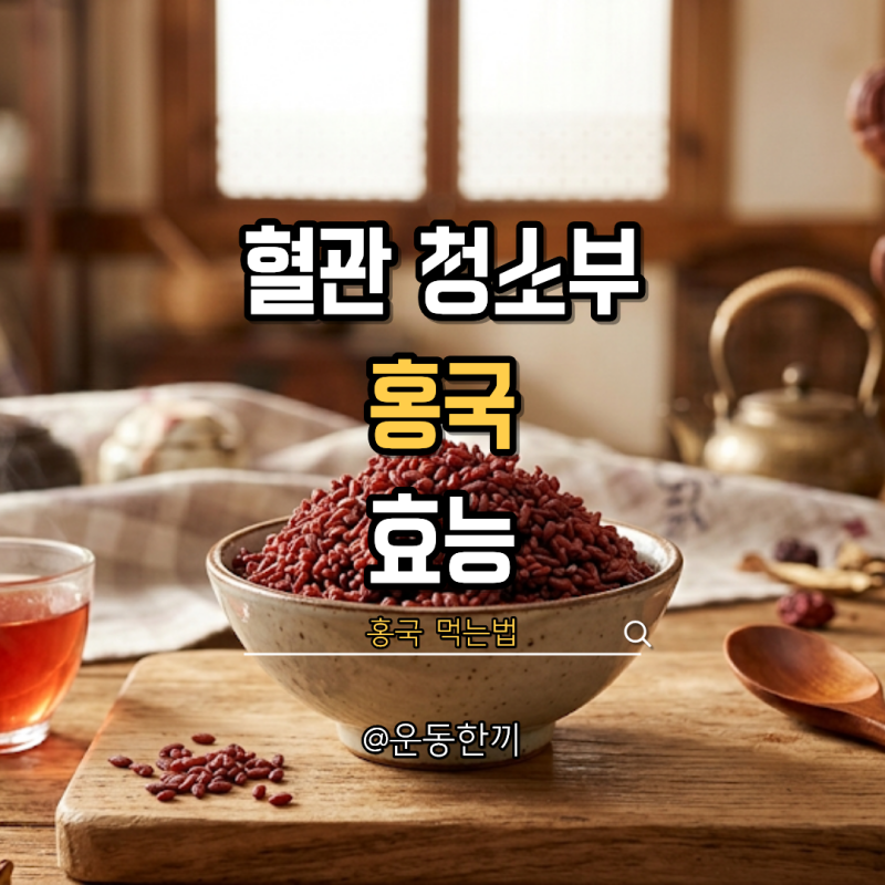 홍국 효능 섭취법 부작용 붉은쌀 건강식