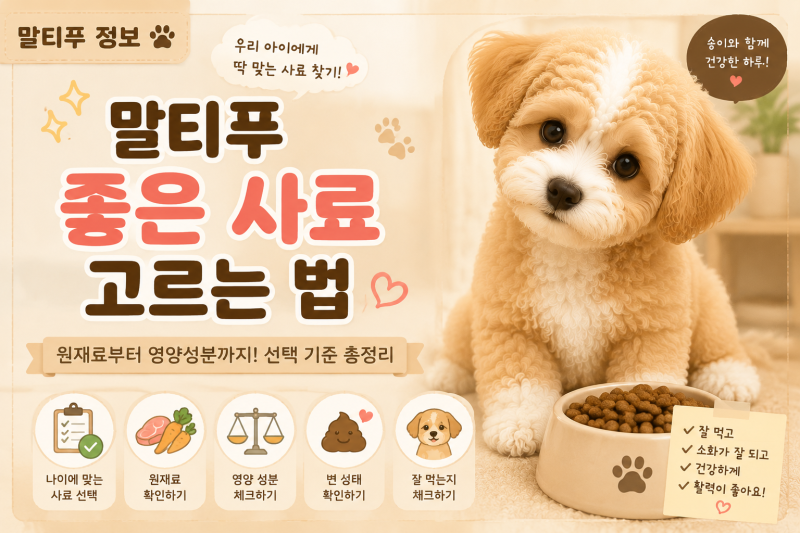 말티푸 좋은 사료 고르는 법 | 우리 아이에게 맞는 사료 선택 기준