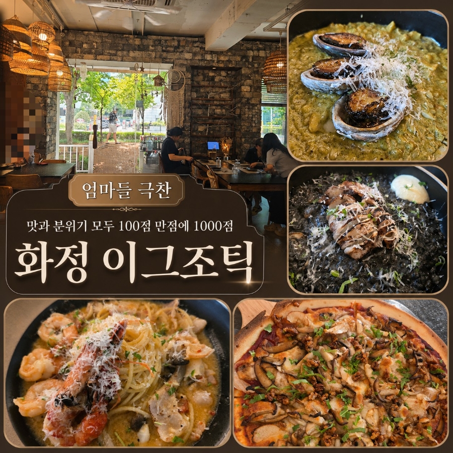 이그조틱 화정점 사진 1