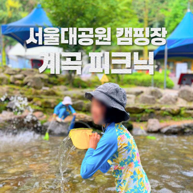 서울대공원 캠핑장️ 주말 취소표 성공! 계곡 피크닉·주차·예약 후기