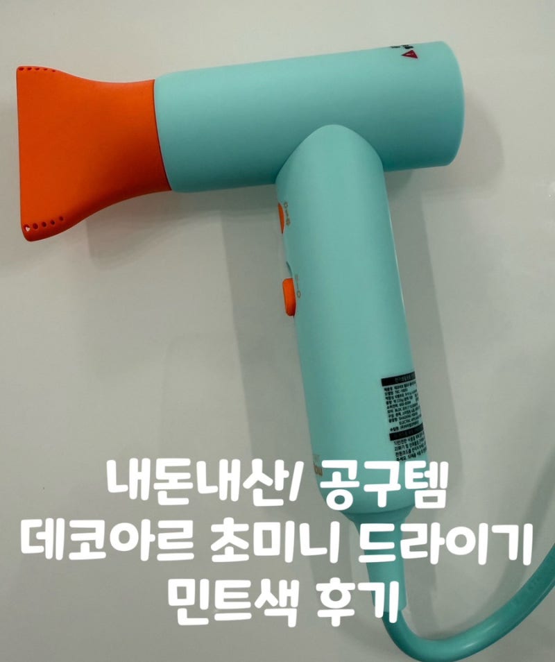 내돈내산] 데코아르 멜로우 플라즈마 BLDC 미니드라이기 민트색 구매후기/수영장 드라이기