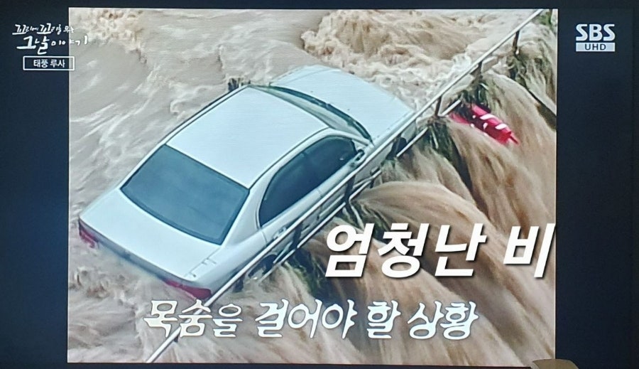 루사 사진 6