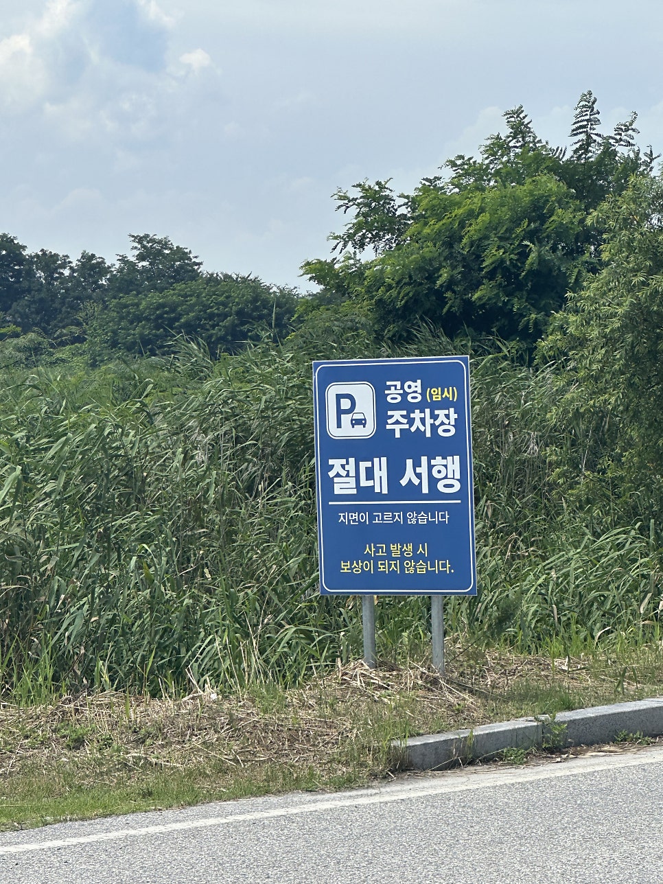 갤러리밥스 사진 5