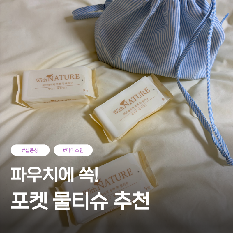 다이소 미니 물티슈 가방에 쏙 넣고 다니기 좋은 휴대용 포켓 물티슈 추천