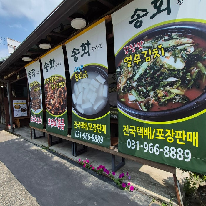 송화 사진 3