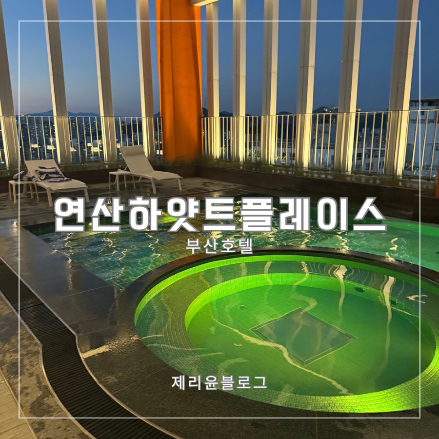 수 사진 1
