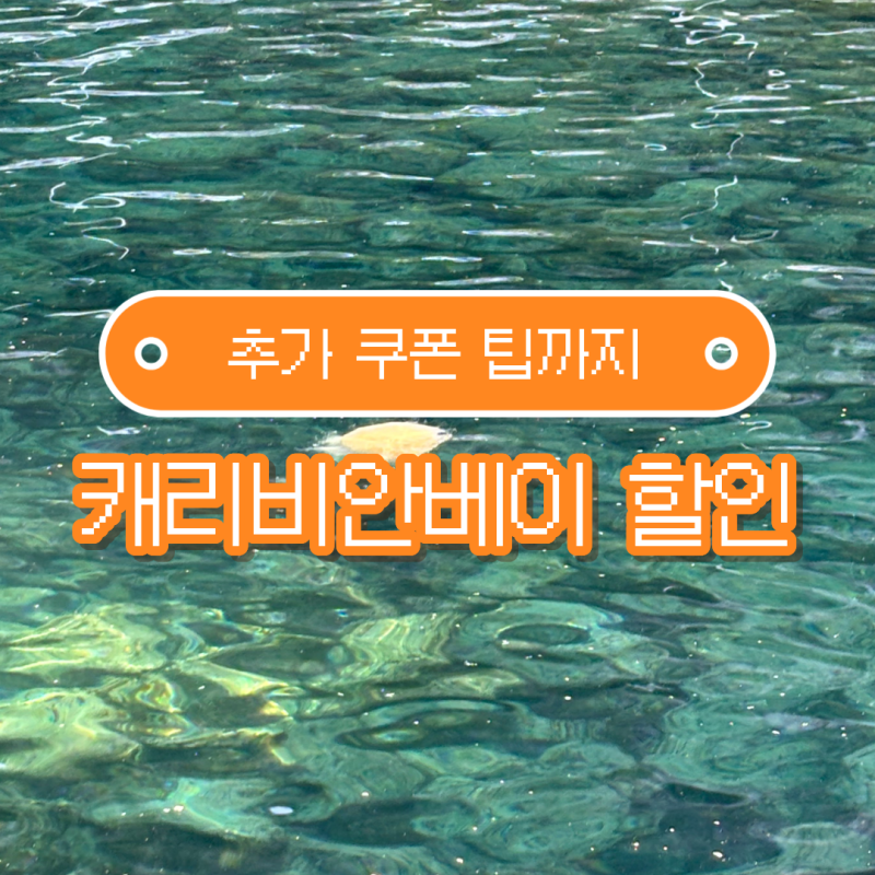캐리비안베이 티켓 할인받는 방법 특가 + 추가 쿠폰