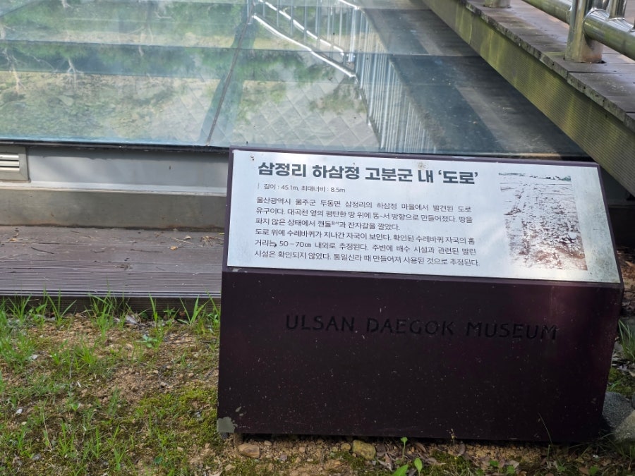 울산대곡박물관 사진 5