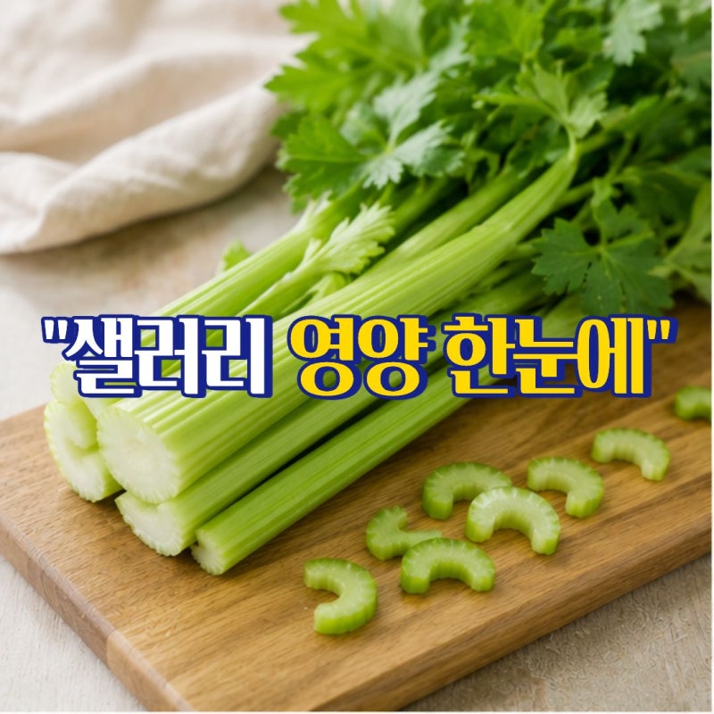 샐러리효능 먹는법 다양한 요리로 즐기는 방법