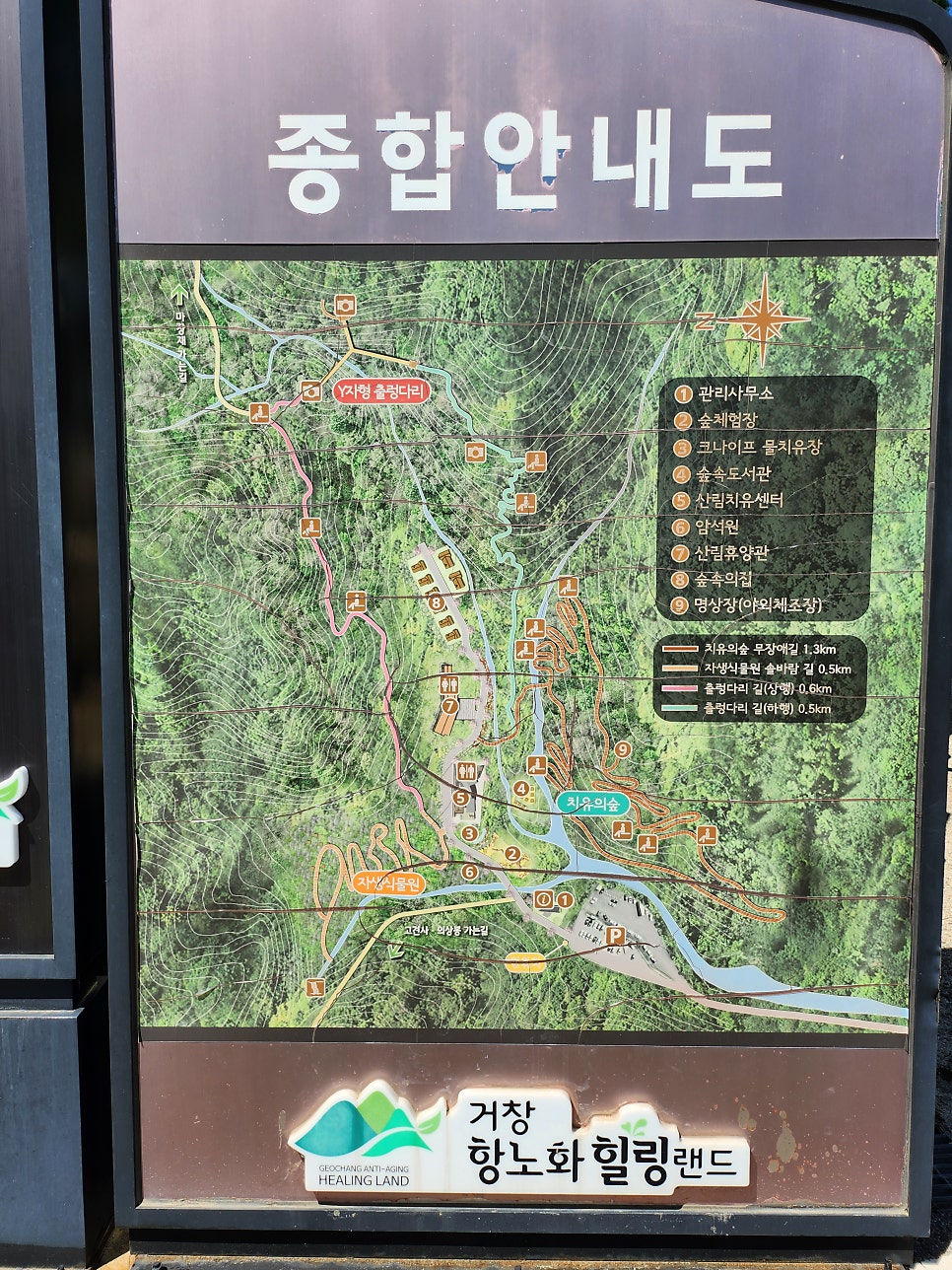 보리수식당 사진 5