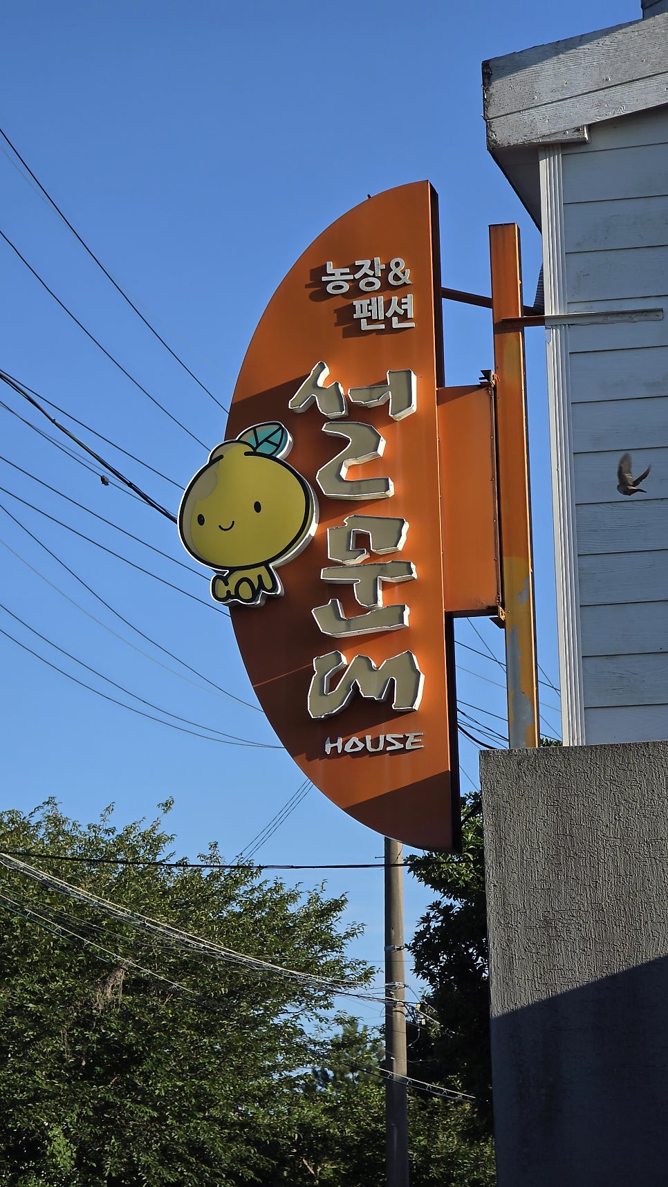 설문대농장&펜션 사진 2
