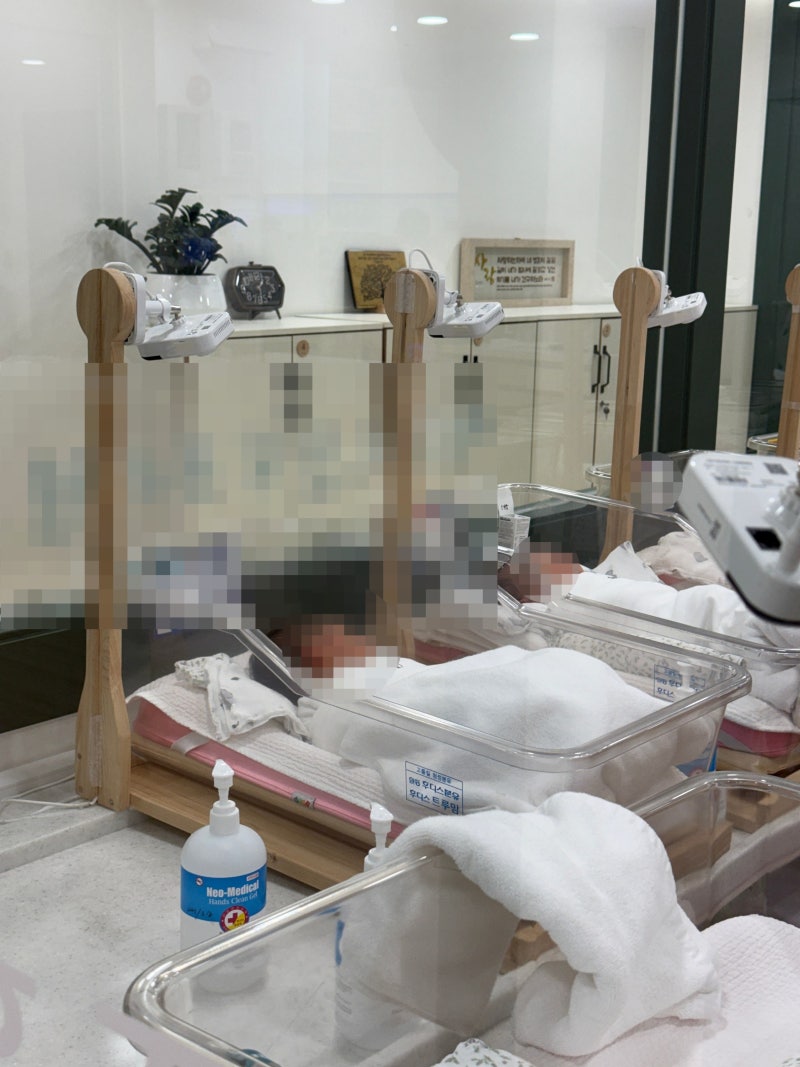 월간 육아 가계부 1회 신생아 생후 1개월 지출 공개 자연분만 출산 병원비 산후조리원 비용