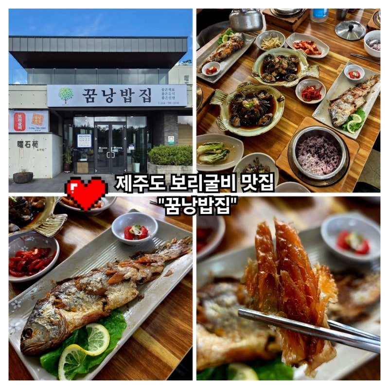 쯔양몇끼 제주도편 보리굴비 맛집 꿈낭밥집 이전 오픈 방문 후기