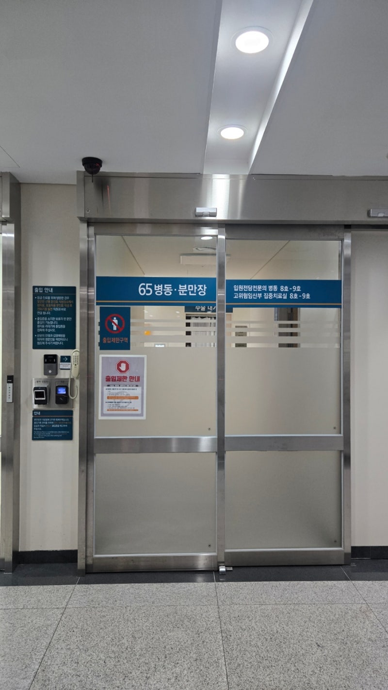 이란성 쌍둥이 임신 26-33주 (조기수축/ 아산병원 고위험산모 장기 입원/ 트랙토실비용/눕눕생....