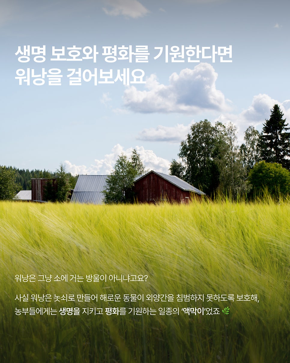 비움박물관 사진 4