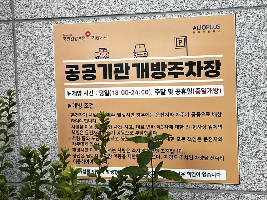 고기묵자 사진 3