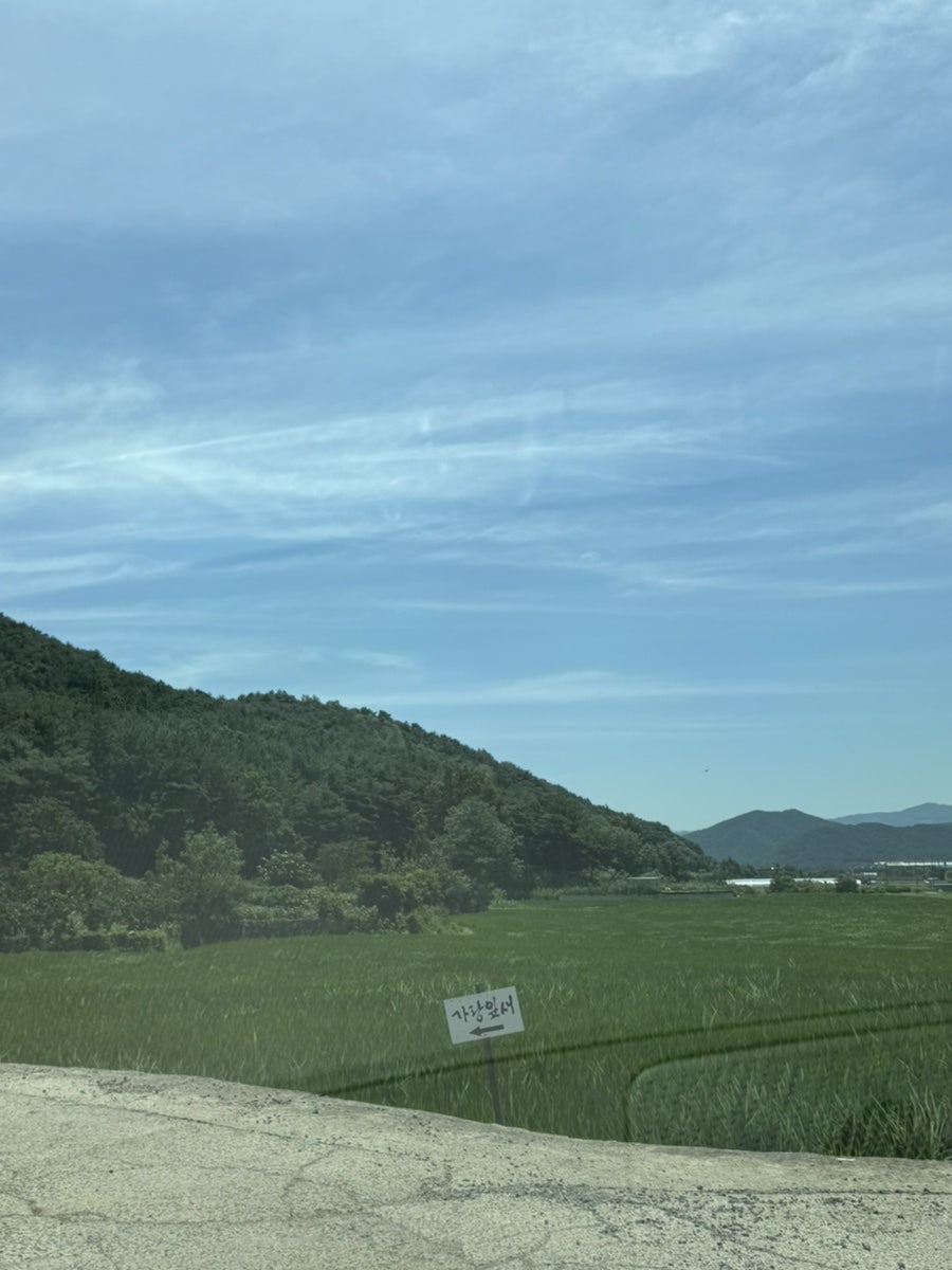 가랑잎새 사진 2