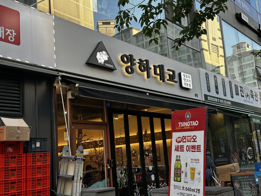 양하대교 사진 2