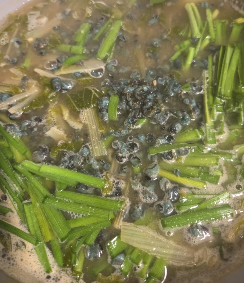위암 수술 후 없던 입맛 돌아오게한 속 편한 다슬기국 끓이는법 (구수한 단배추 조합)