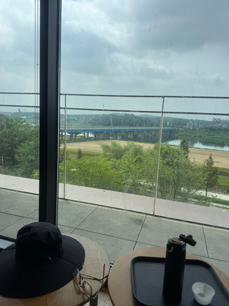 과일은 냉동 블루베리를..