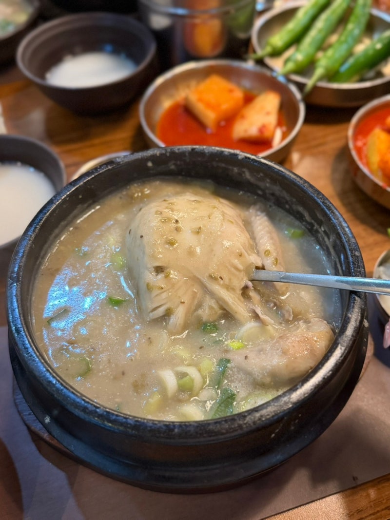 [서초/교대] 미쉐린 삼계탕 맛집 3대삼계장인, 녹두삼계탕으로 몸보신