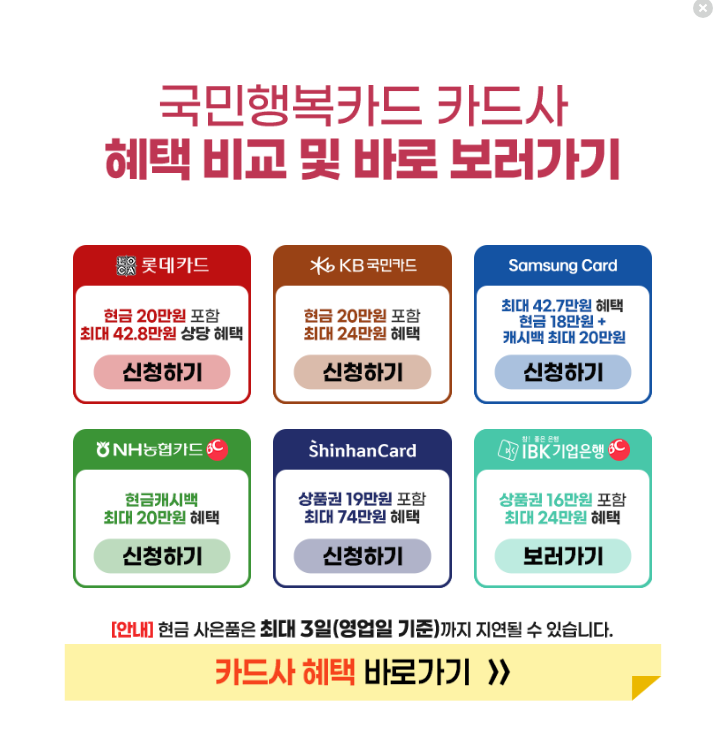 국민행복카드 발급 방법｜임신출산진료비 바우처 100만원 신청 후기