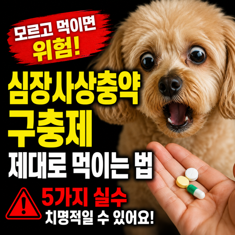 강아지 심장사상충약 강아지 구충제 기생충약 제대로 먹이는 법