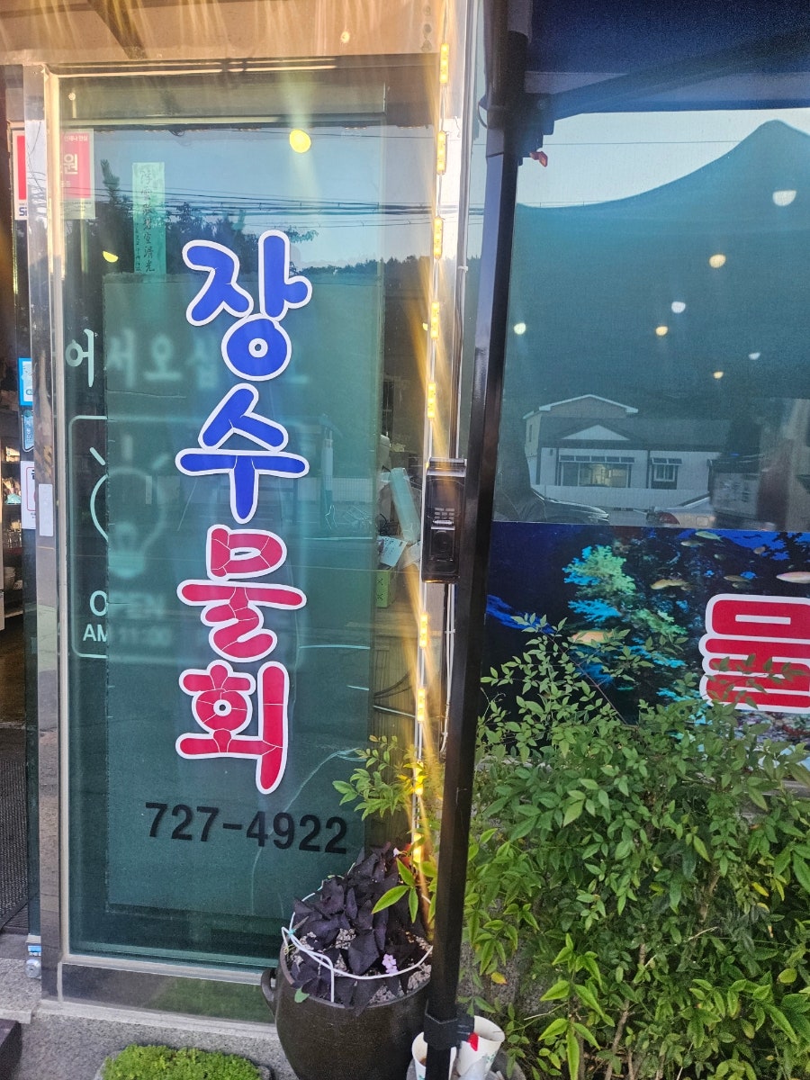 장수물회 사진 2