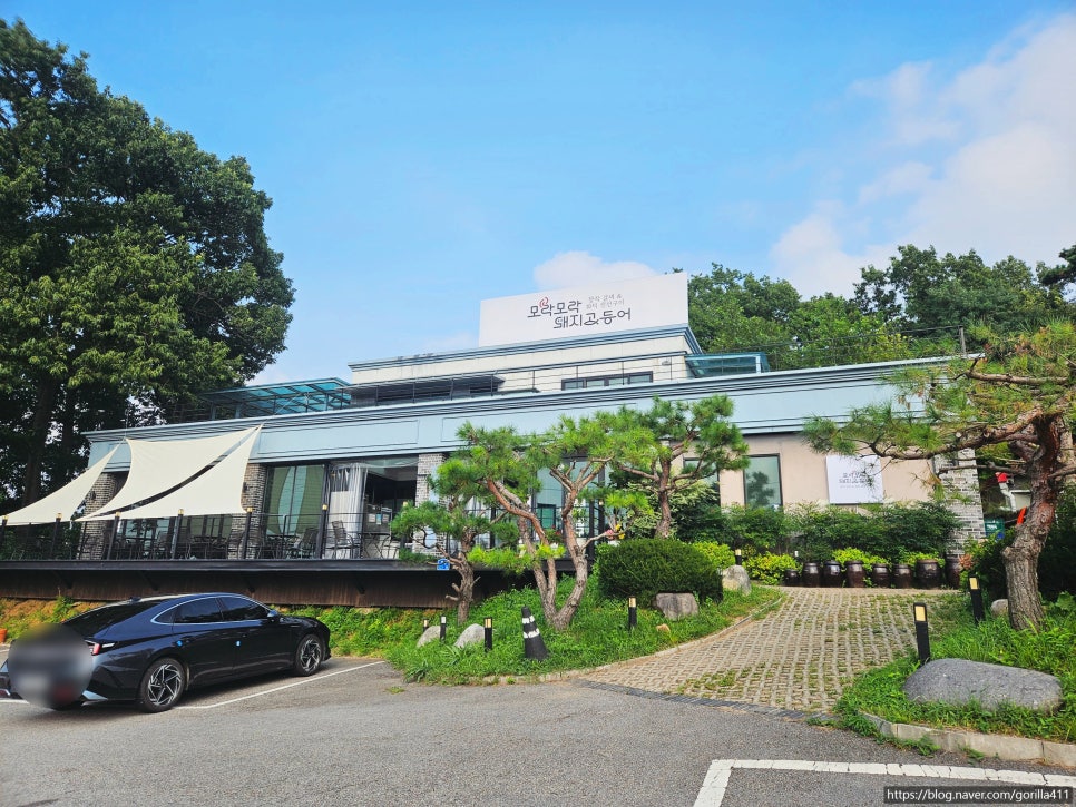모락모락돼지고등어 사진 2