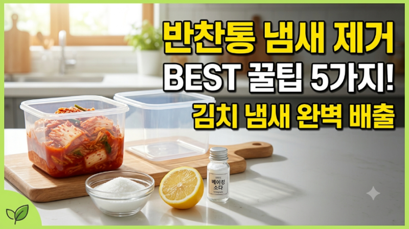 반찬통 냄새 제거 방법 BEST 5! 플라스틱 밀폐용기 김치 냄새 제거 꿀팁