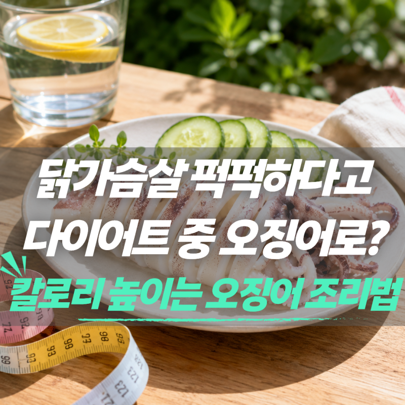 "닭가슴살 퍽퍽하다고 오징어로 바꿨는데?"오징어 칼로리 높이는 조리법과 주의점