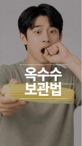 옥수수 보관법 생옥수수부터 삶은 옥수수까지 오래 보관하는 방법