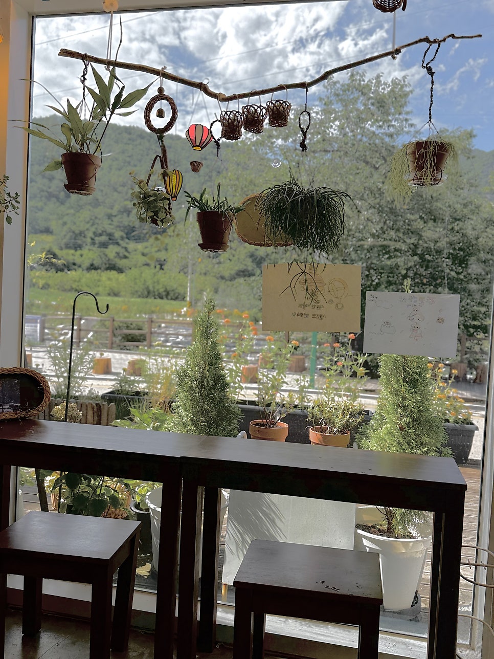 수풀림 사진 6