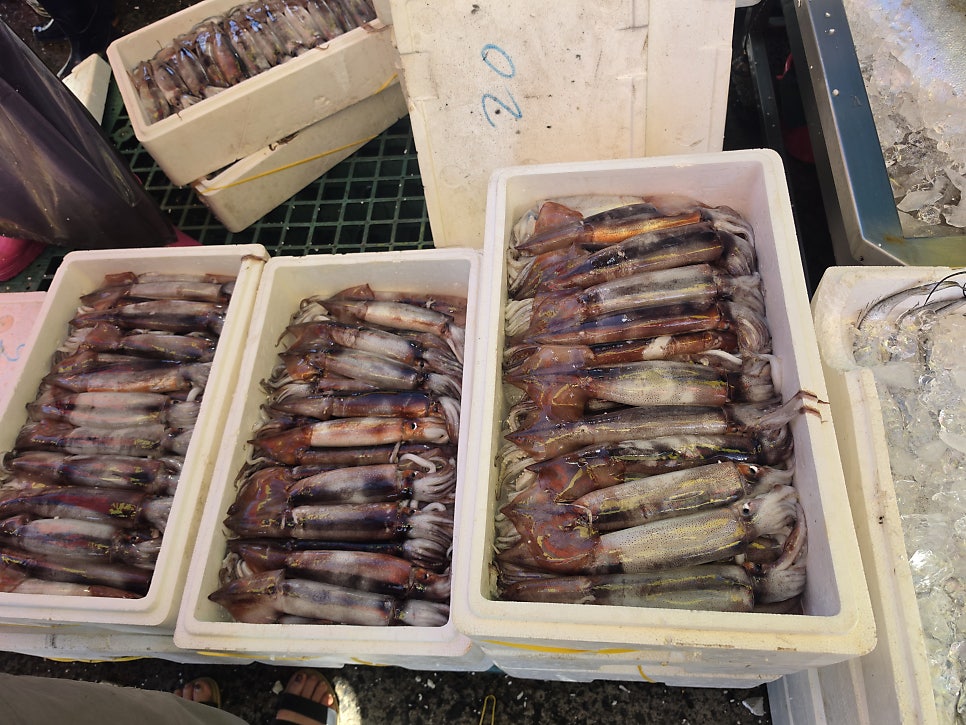 희망수산 사진 2