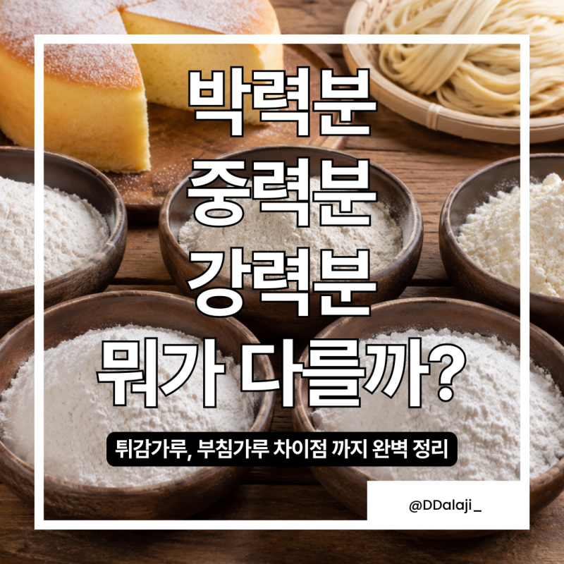 박력분 중력분 강력분 차이? 튀김가루·부침가루까지 쉽게 정리